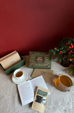 Alternative view of Adventshygge 2025. Fire noveller, fire kopper te – hver søndag frem til jul.