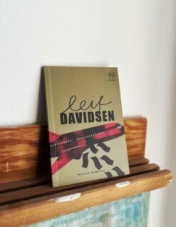 leifdavidsen-tekniskeproblemer-