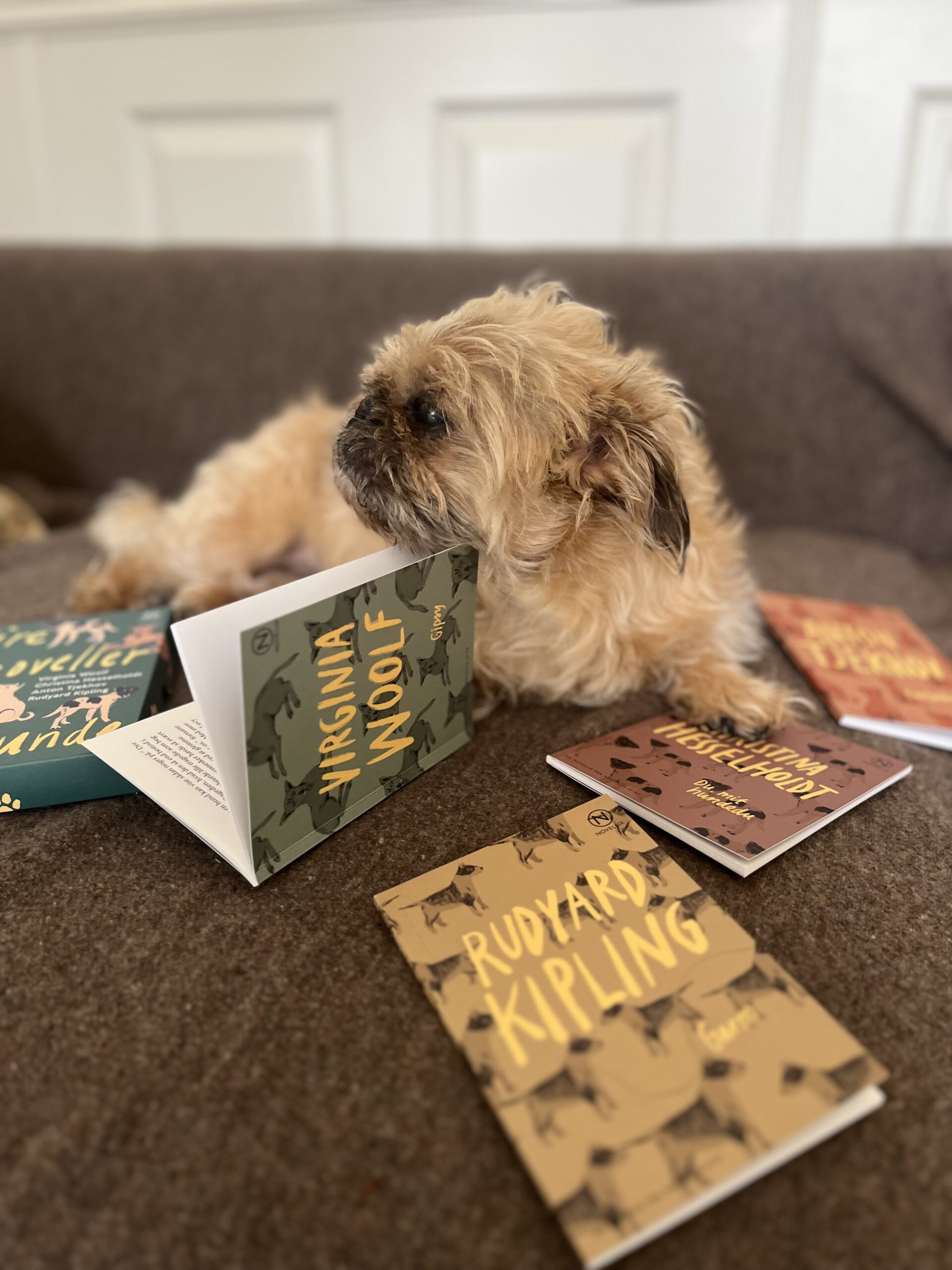 Fire noveller om hunde - Billede 2