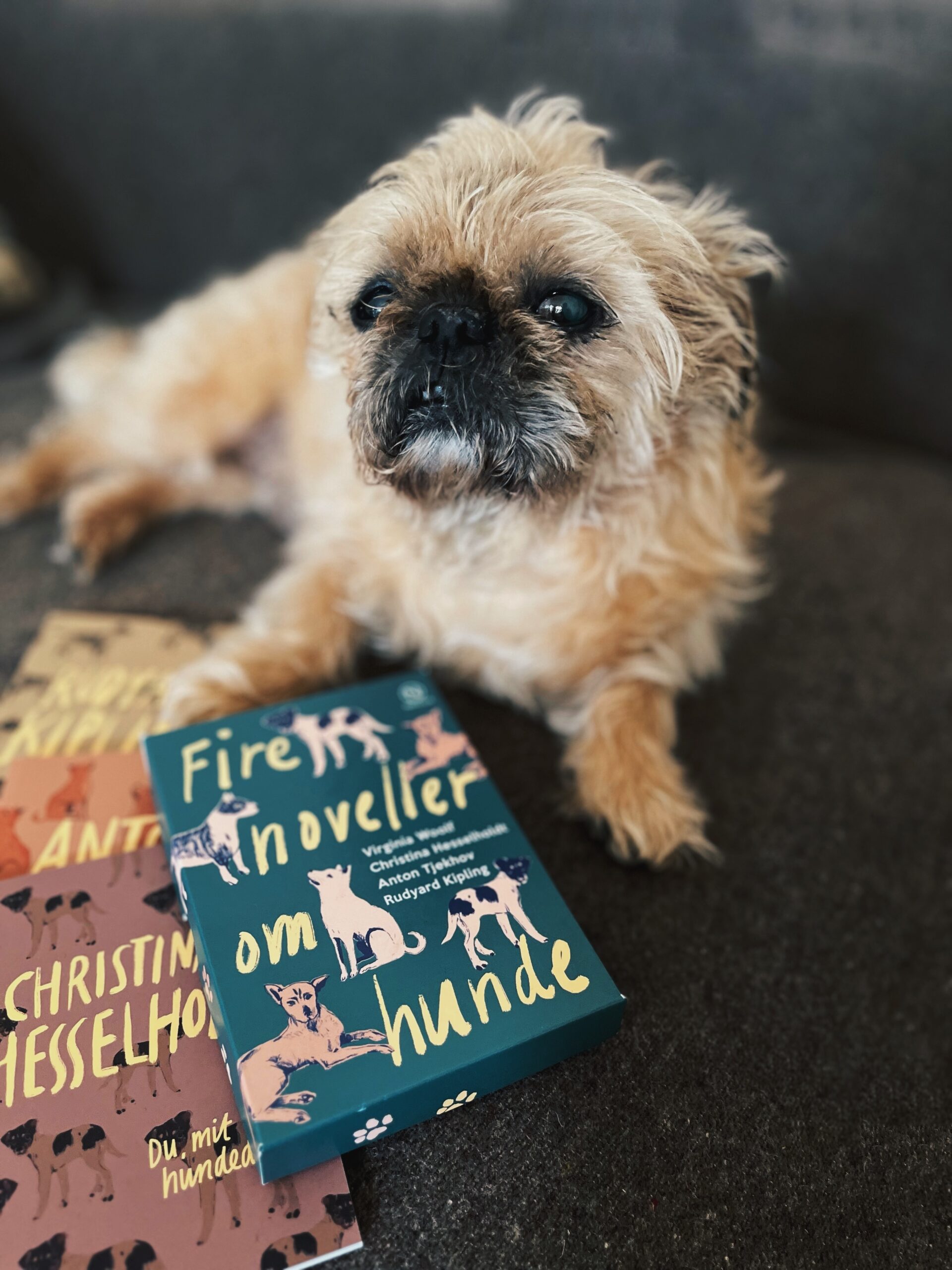 Fire noveller om hunde - Billede 3
